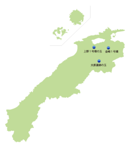 島根県の主な玉出土遺跡位置